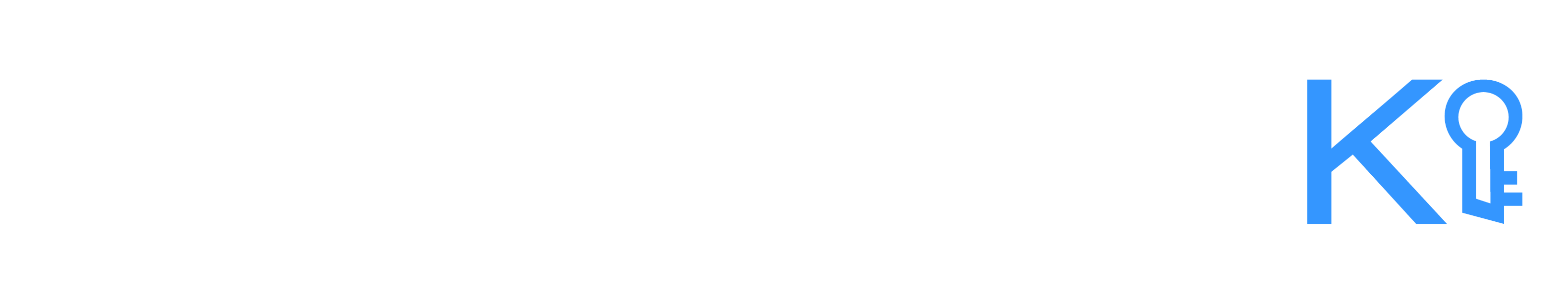 Franchise KI